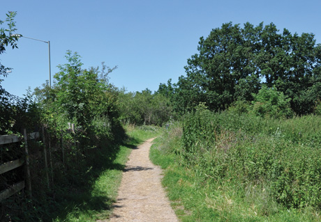 Dinton Pastures